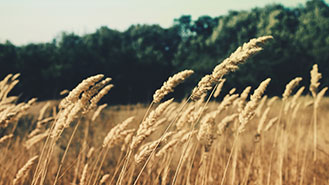 自助购买平台的安卓短信轰炸机