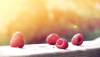 在线手机号平台